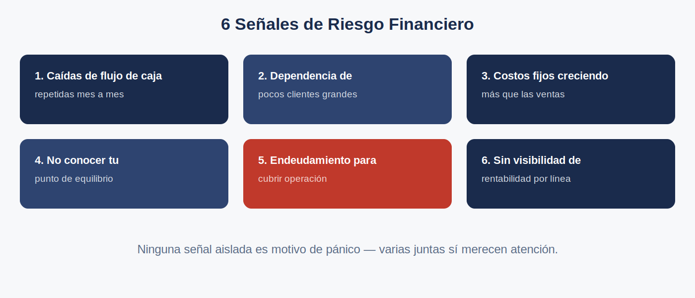 6 señales de riesgo financiero en una pyme